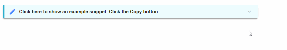 How to copy a snippet
